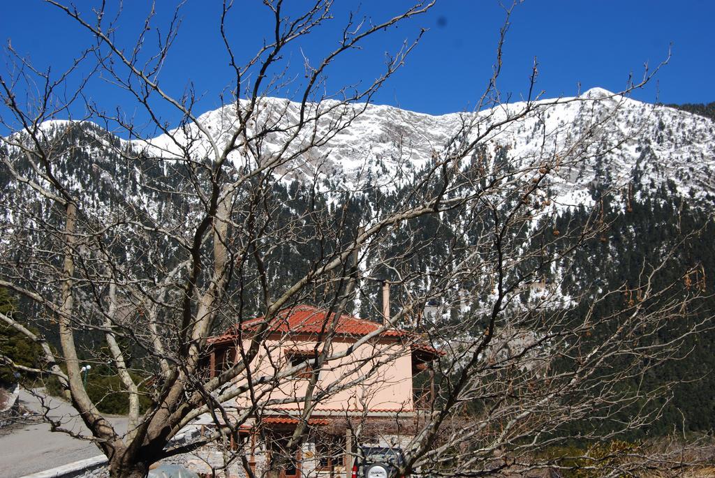 Dryades Guesthouse Áno Hóra Kültér fotó